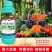 施力龙叶菜专用叶面肥蔬菜专用水溶肥肥料农用通用型蔬菜青菜