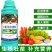 施力龙叶菜专用叶面肥蔬菜专用水溶肥肥料农用通用型蔬菜青菜