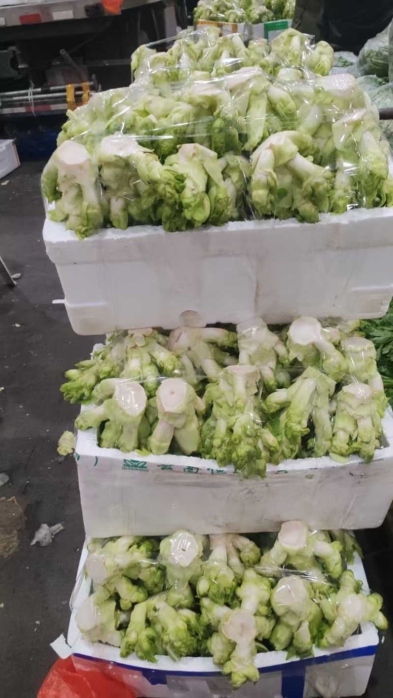儿菜娃儿菜拳头菜产地直发价格实惠口感好保质保量欢迎电联
