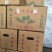 四方椒菜椒辣椒鲜辣椒口感好价格实惠品质保障运输便利欢迎电联