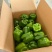 四方椒菜椒辣椒鲜辣椒口感好价格实惠品质保障运输便利欢迎电联