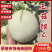 浙江台州玉菇甜瓜/冰淇淋甜瓜/2026年头茬甜瓜