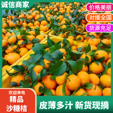广西砂糖橘，一手货源，可对接电商商超等，诚信经营，量大从优