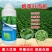 烟草烟叶专用叶面肥氨基酸水溶肥复合肥料烤烟叶片增大肥料