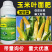 玉米专用叶面肥液体叶绿壮苗促长抗倒耐寒加锌苞玉金大棒玉米