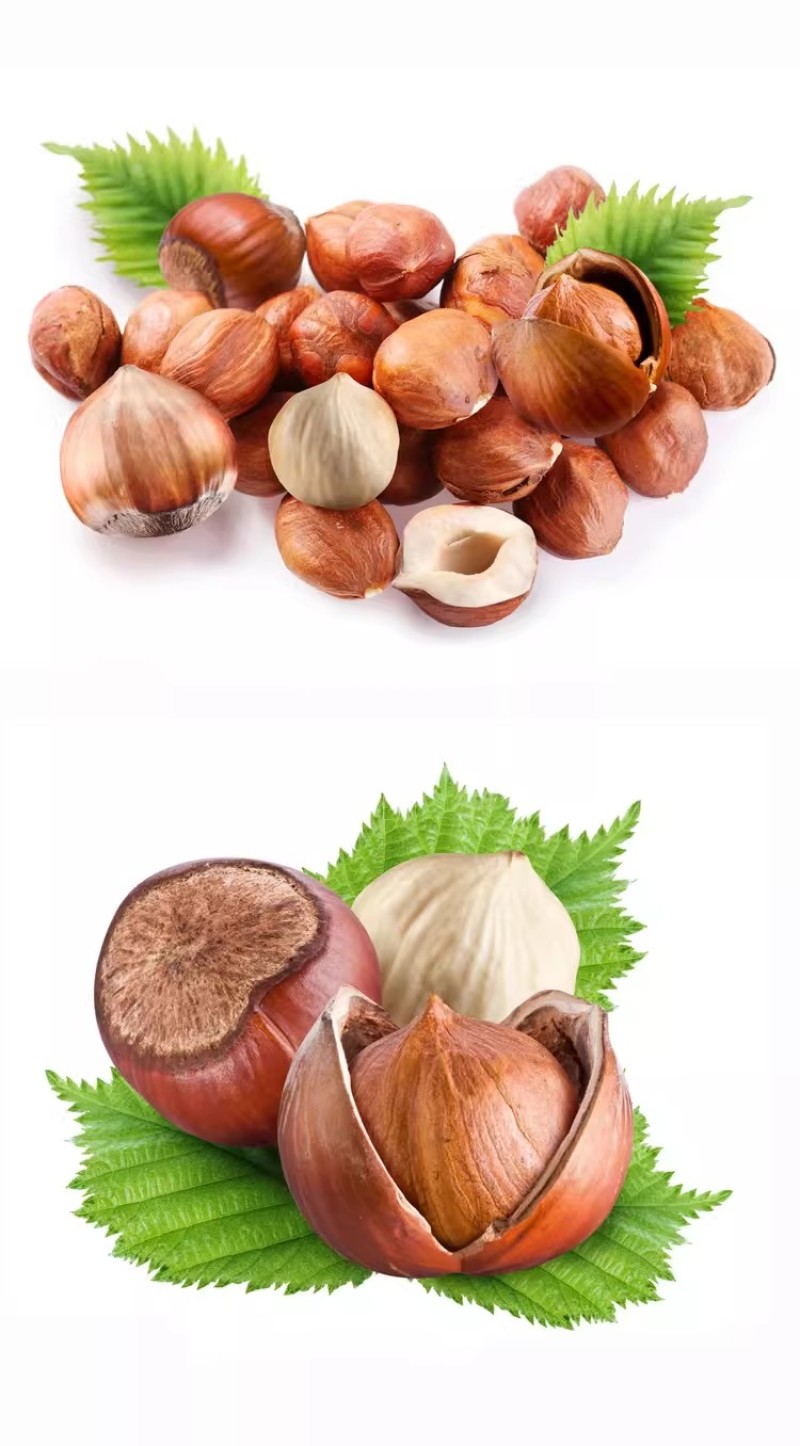 美国开口大榛子新货炒熟薄皮产干果坚果零食大榛子