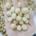 生的夏威夷果仁新鲜干货无加工***商用烘焙原料生坚果去壳