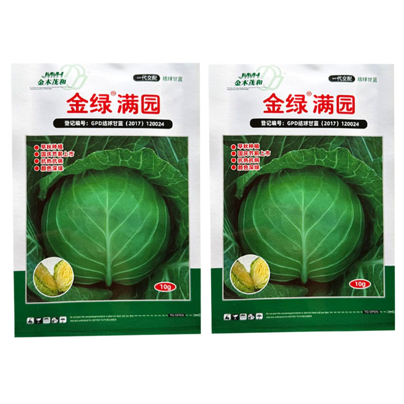 金绿满园甘蓝种子早秋抗热抗病正圆球口感脆嫩抗裂性强