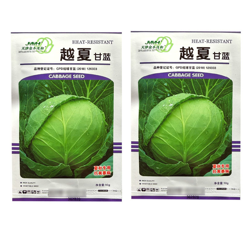 越夏甘蓝种子绿叶黄心抗黄萎病和黑腐病夏秋播种圆球形深绿色