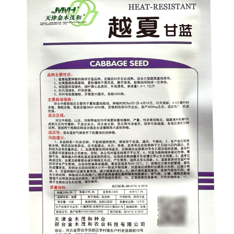 越夏甘蓝种子绿叶黄心抗黄萎病和黑腐病夏秋播种圆球形深绿色