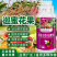 催花座果座果精巡蜜花果催花座果灵授粉果蔬菜细胞保花保果防