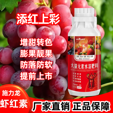 施力龙膨大着色增甜提高干物质积累膨果叶面喷施提高产量