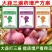 大蒜套餐正品大蒜三遍套餐大蒜专用套餐干尖黄叶膨大