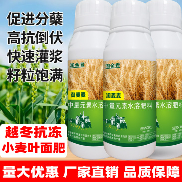 小麦分蘖穗粒饱小麦分蘖抗倒素分蘖宝小麦叶面肥小麦专用肥小