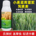小麦分蘖穗粒饱小麦分蘖抗倒素分蘖宝小麦叶面肥小麦专用肥小
