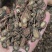 丹参四川精品丹参（一手货源）量大从优，规格齐全，欢迎电联