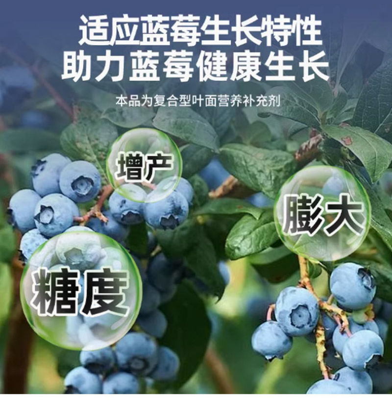 蓝莓专用叶面肥促花保果增甜膨大提高花青素含量防落裂果