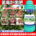 蓝莓专用叶面肥促花保果增甜膨大提高花青素含量防落裂果