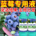 蓝莓专用叶面肥促花保果增甜膨大提高花青素含量防落裂果