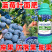 蓝莓专用叶面肥促花保果增甜膨大提高花青素含量防落裂果