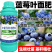 蓝莓专用叶面肥促花保果增甜膨大提高花青素含量防落裂果