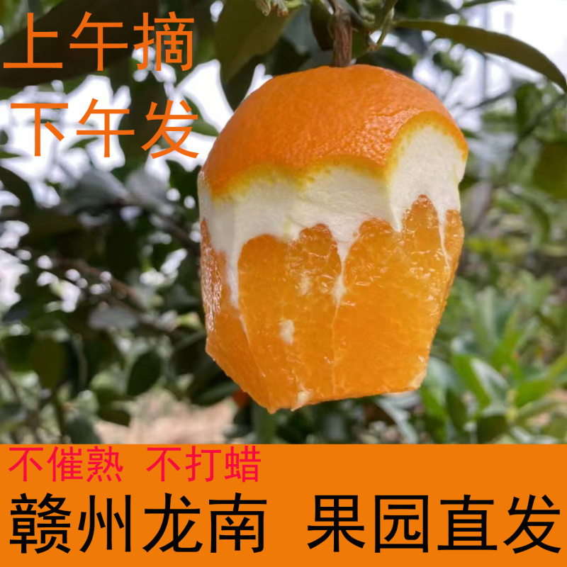 正宗赣南脐橙产地直发江西赣州龙南橙子新鲜应季花皮水果