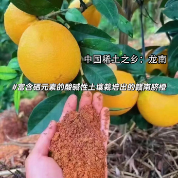 正宗赣南脐橙产地直发江西赣州龙南橙子新鲜应季花皮水果