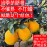 正宗赣南脐橙产地直发江西赣州龙南橙子新鲜应季花皮水果