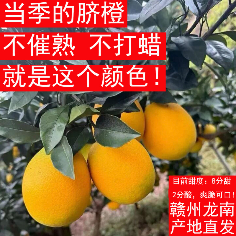 正宗赣南脐橙产地直发江西赣州龙南橙子新鲜应季花皮水果