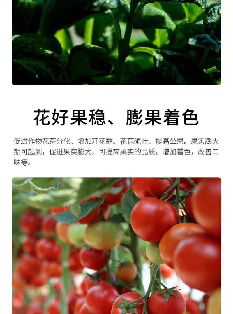 磷酸二氢钾膨化闪溶粉剂晶体速溶膨果转色冲施飞防全溶施