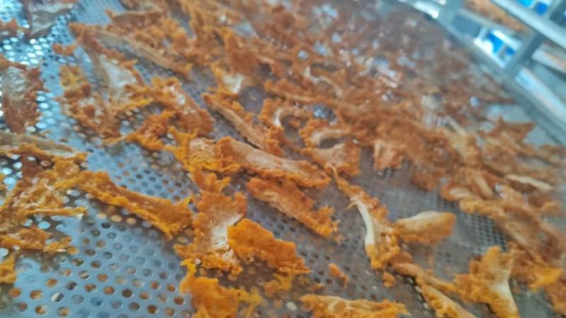 干金耳切片