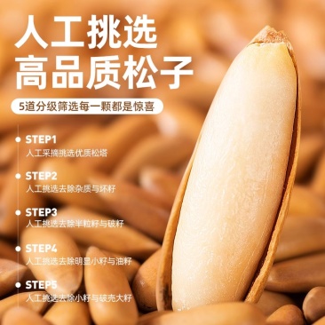 巴西松子2025新货阿富汗手剥松子大颗粒坚果特产孕妇休闲