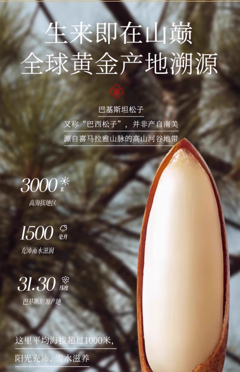巴西松子2025新货阿富汗手剥松子大颗粒坚果特产孕妇休闲