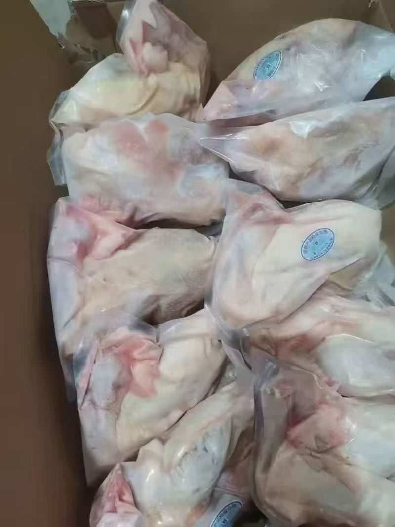 净膛，半净膛老母鸡