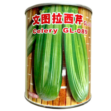 文图拉西芹种子进口芹菜原种生长快亩产高春秋播种