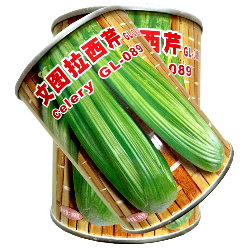 文图拉西芹种子进口芹菜原种生长快亩产高春秋播种