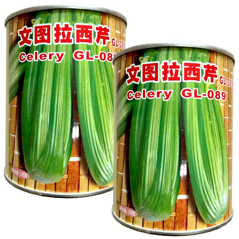 文图拉西芹种子进口芹菜原种生长快亩产高春秋播种