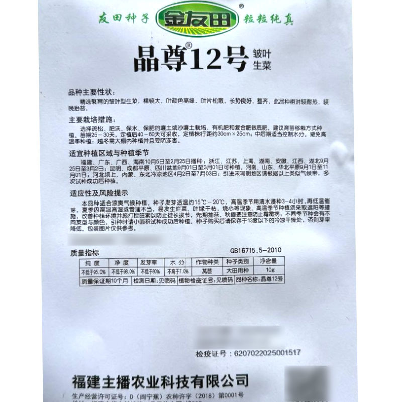晶尊12号散叶生菜种子皱叶型生菜颜色亮绿叶片松散大田基地