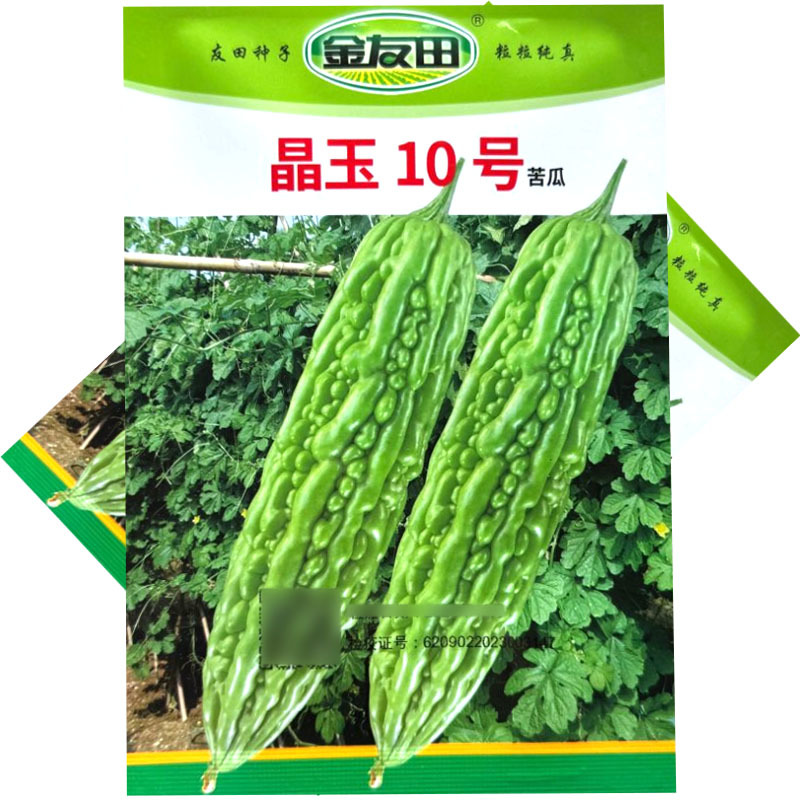 晶玉10号苦瓜种子早熟珍珠瘤肉质脆嫩厚实连续座果性好基地