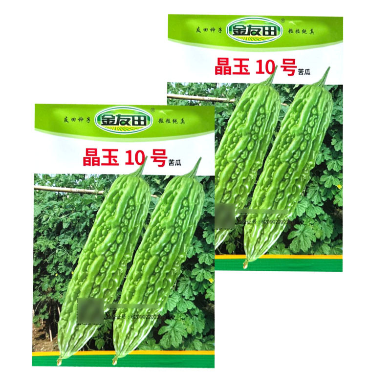 晶玉10号苦瓜种子早熟珍珠瘤肉质脆嫩厚实连续座果性好基地