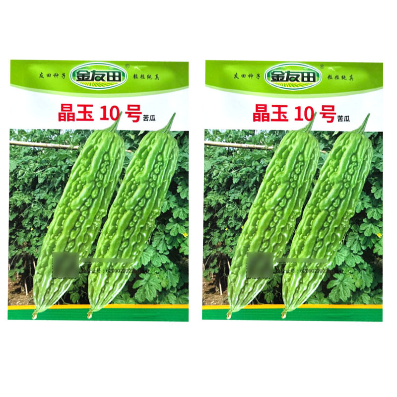 晶玉10号苦瓜种子早熟珍珠瘤肉质脆嫩厚实连续座果性好基地