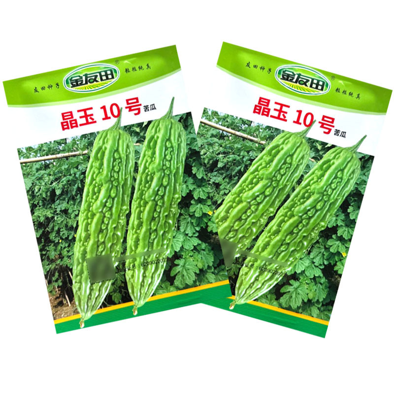 晶玉10号苦瓜种子早熟珍珠瘤肉质脆嫩厚实连续座果性好基地