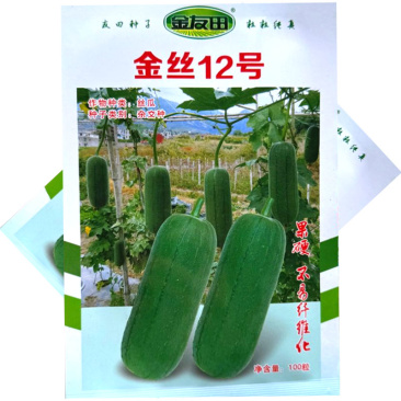 金丝12号丝瓜种子杂交早熟硬果型丝瓜种籽短圆筒形口感清甜