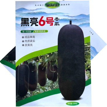 黑亮6号黑皮冬瓜种子杂交黑皮中型冬瓜种籽皮黑亮肉质紧实