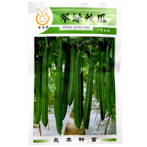 棱角丝瓜种子翠绿丝瓜棱角丝瓜种子角瓜长丝瓜早熟雌花多