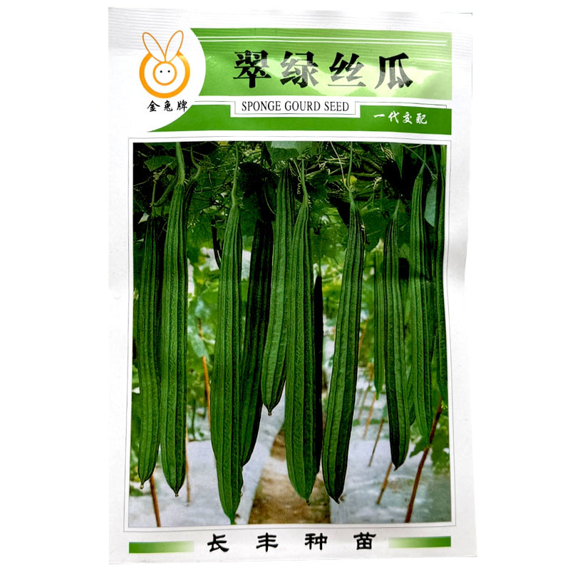 棱角丝瓜种子翠绿丝瓜棱角丝瓜种子角瓜长丝瓜早熟雌花多