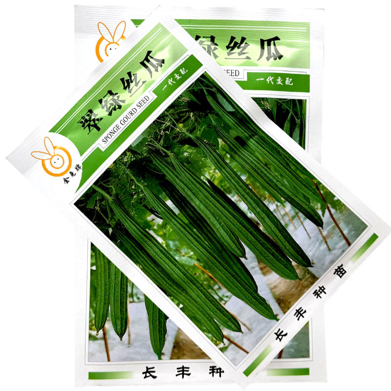 棱角丝瓜种子翠绿丝瓜棱角丝瓜种子角瓜长丝瓜早熟雌花多