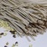 黑小麦原味挂面面条厂家直供品质保证一手货源欢迎联系
