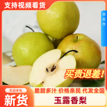【一件代发】玉露香梨淘宝抖音小红书快团团私域电商对接全国