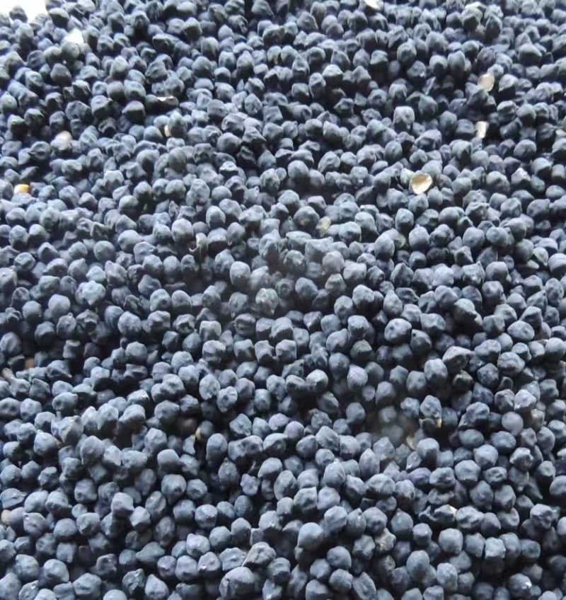 鹰嘴豆黑鹰嘴豆黄鹰嘴豆规格齐全颗粒饱满量大从优